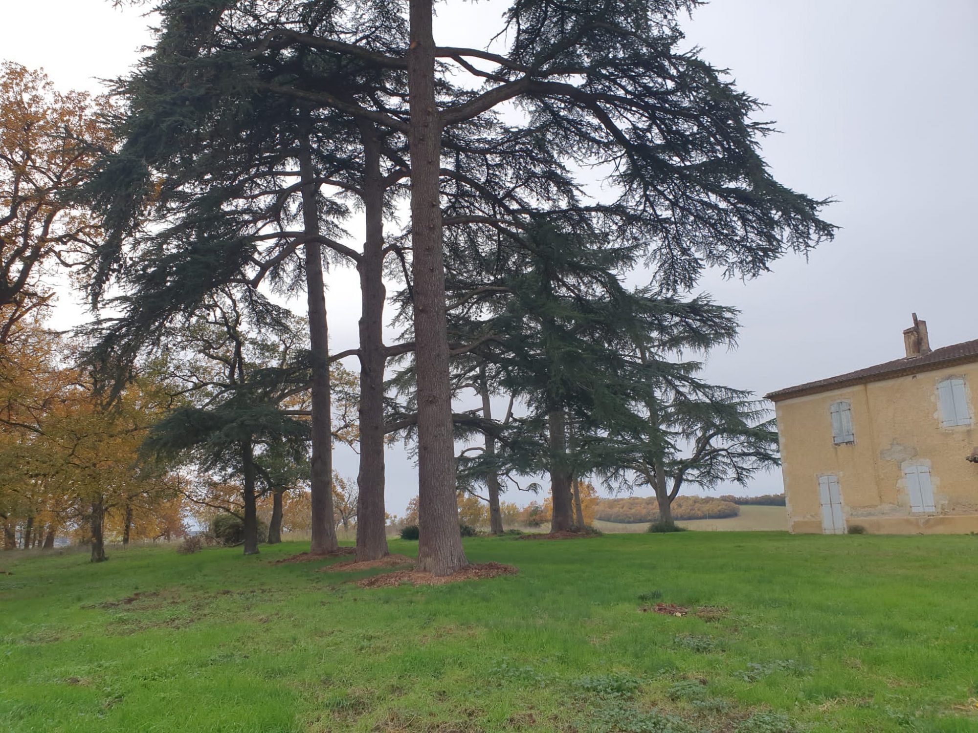 6 Bed, 2 Bath, HouseFor Sale, Auch, Gers, Midi-Pyrenees, 32000