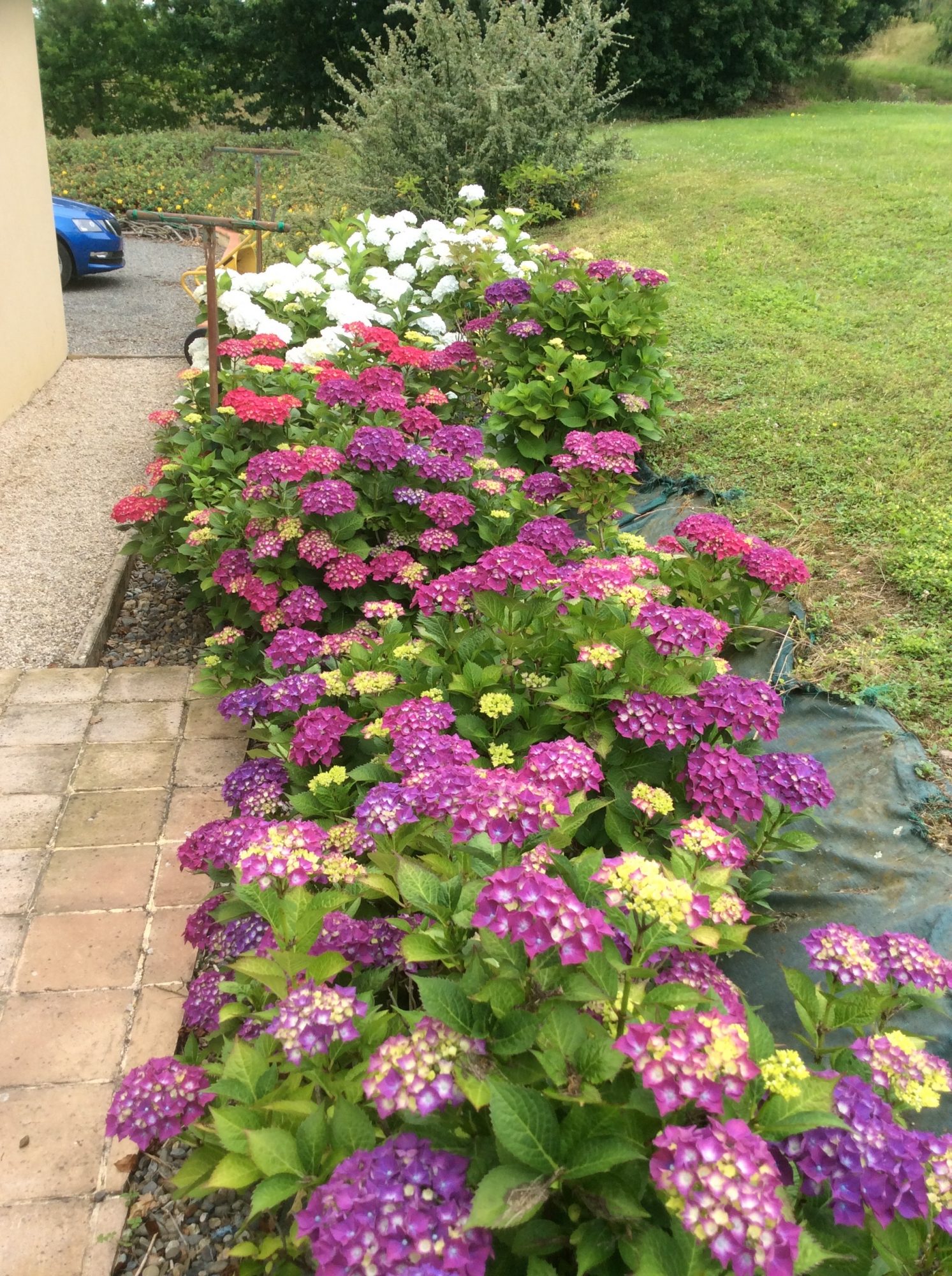 4 Bed, 2 Bath, HouseFor Sale, Masseube, Gers, Midi-Pyrenees, 32140