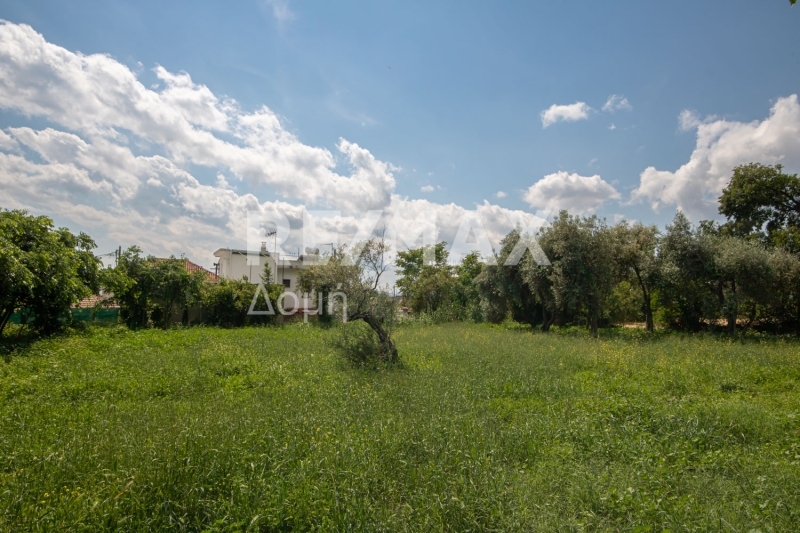 Land, For Sale