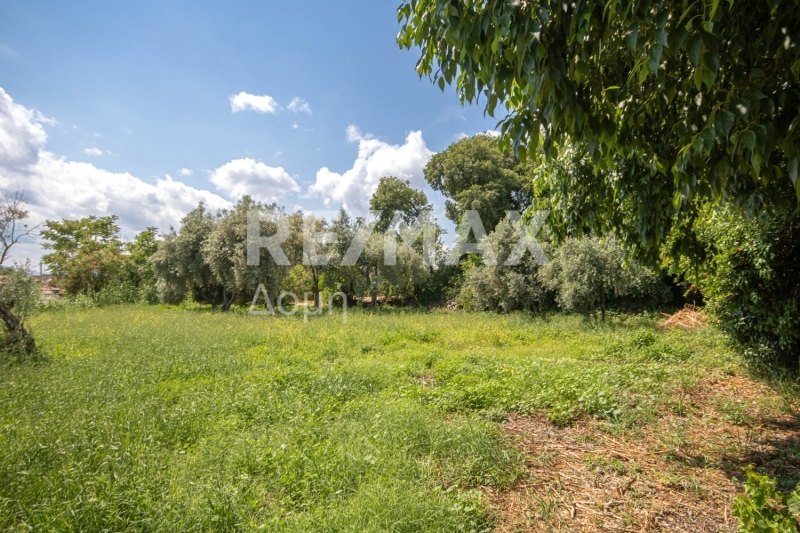 Land, For Sale
