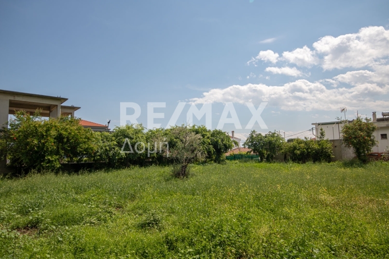 Land, For Sale