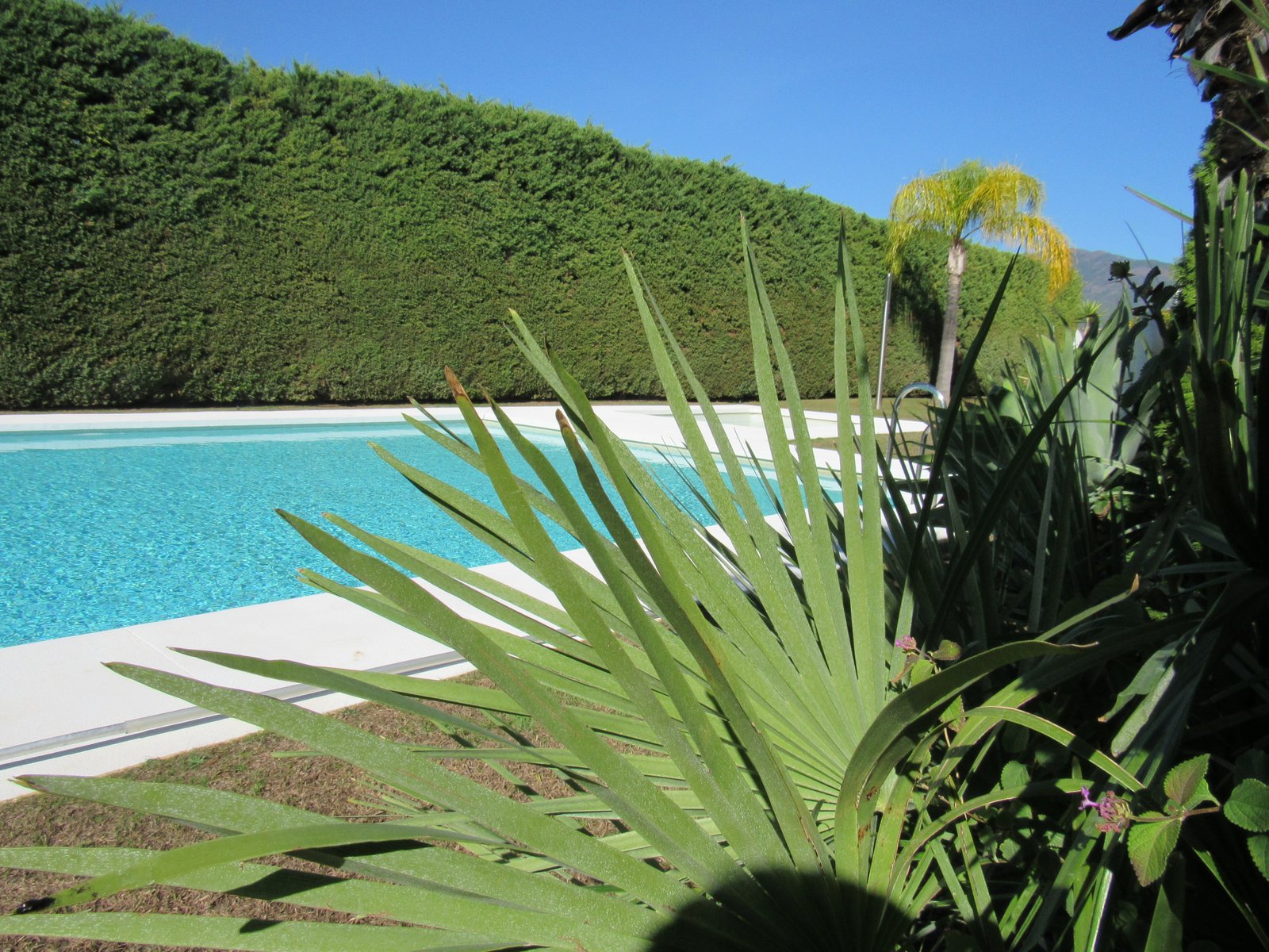 3 Bed, 3 Bath, HouseFor Sale, Benahavis, Malaga