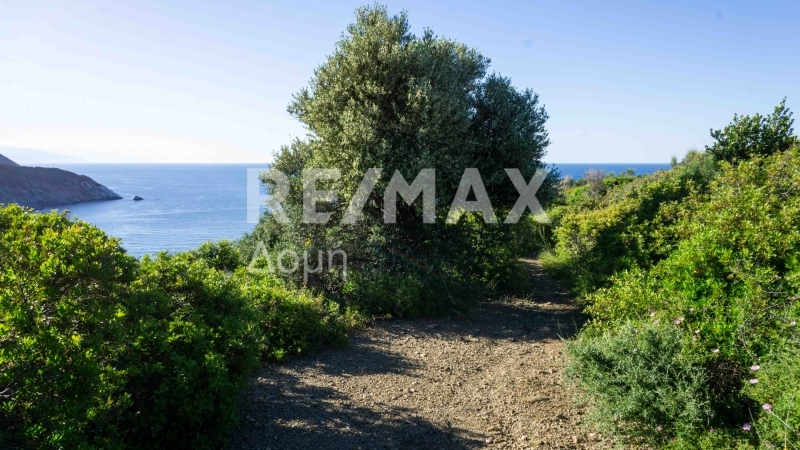 HouseFor Sale, Kalivia, Skiathos, Sporades