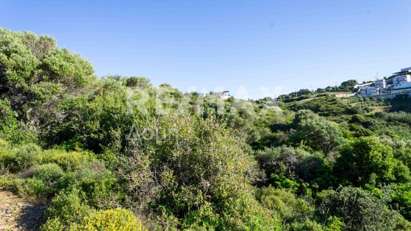 HouseFor Sale, Kalivia, Skiathos, Sporades