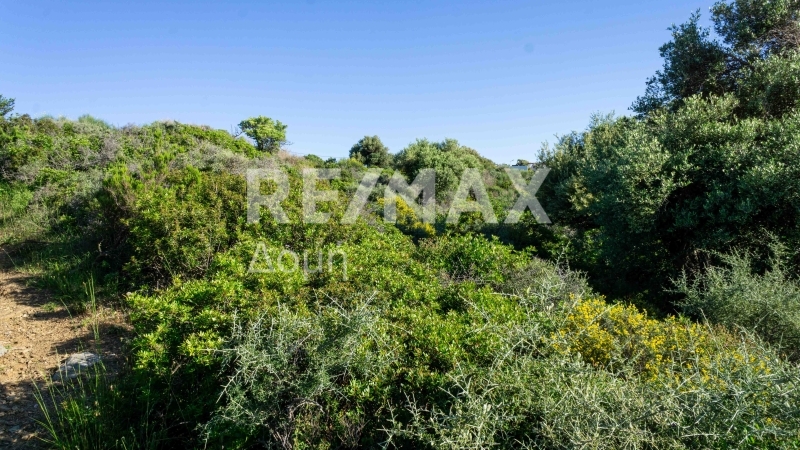 HouseFor Sale, Kalivia, Skiathos, Sporades