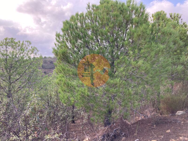 Land, For Sale
