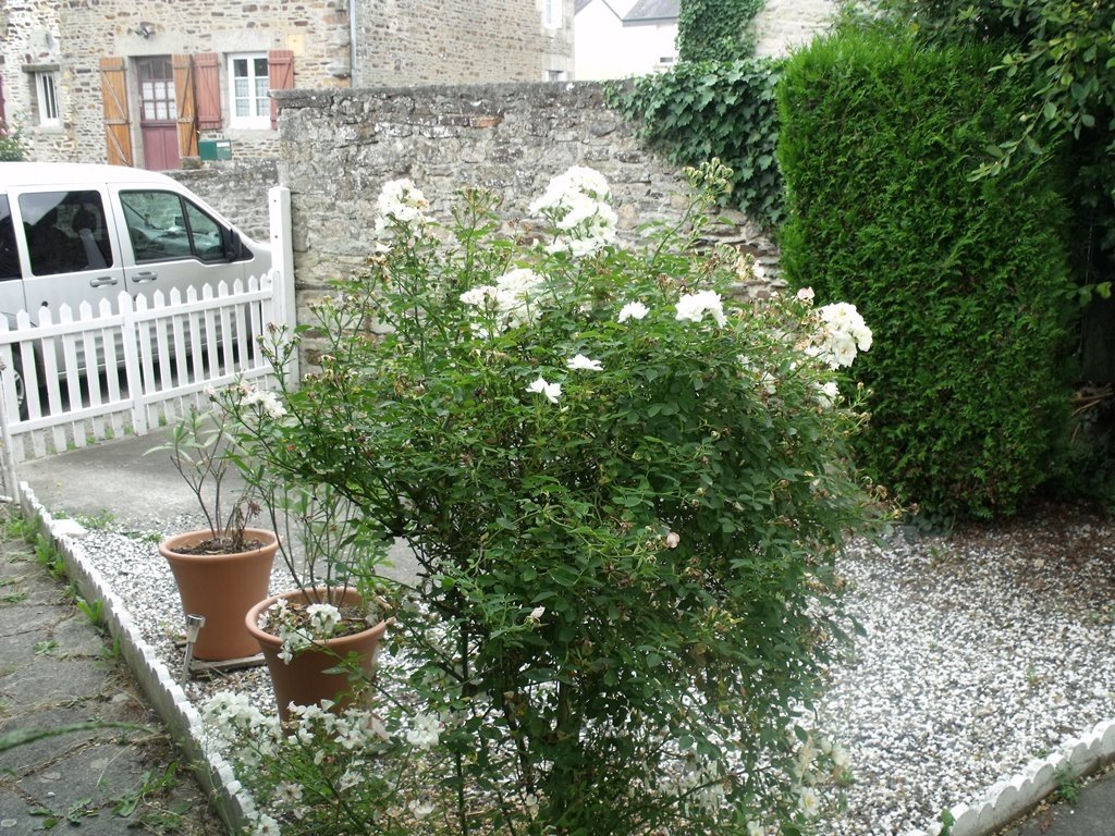 3 Bed, 2 Bath, HouseFor Sale, Madré, Pays-de-la-Loire, 53250