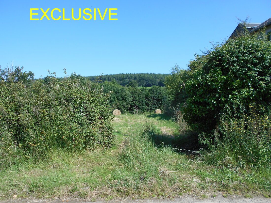 3 Bed, 3 Bath, HouseFor Sale, Saint-Calais-du-Désert, Mayenne, 53140