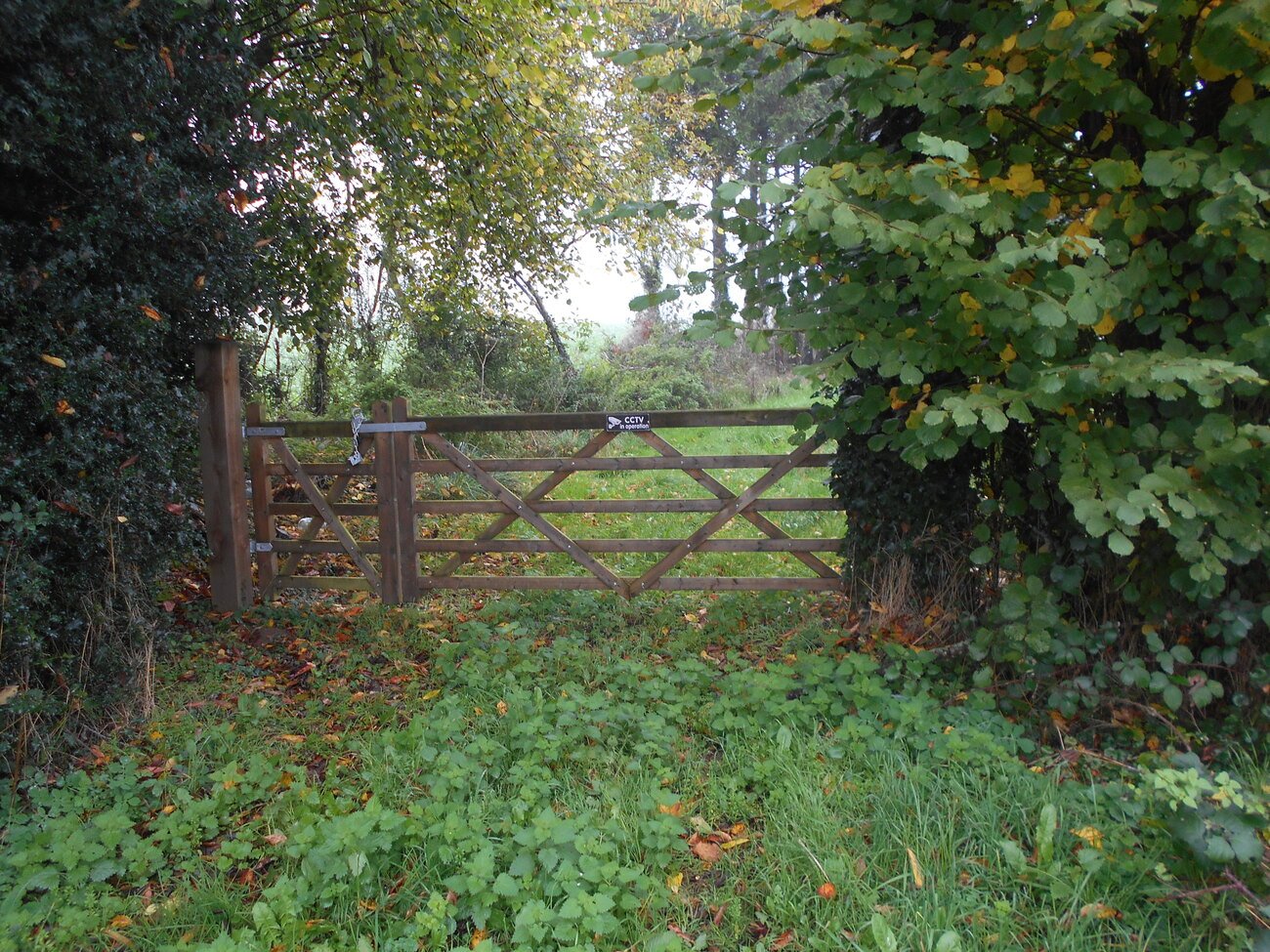 1 Bed, HouseFor Sale, Saint-Germain-de-Coulamer, Pays-de-la-Loire, 53700