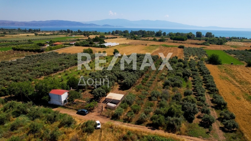 2 Bed, HouseFor Sale, Neos Platanos, Almiros, Magnesia 2 Bed, HouseFor Sale, Neos Platanos, Almiros, Magnesia
