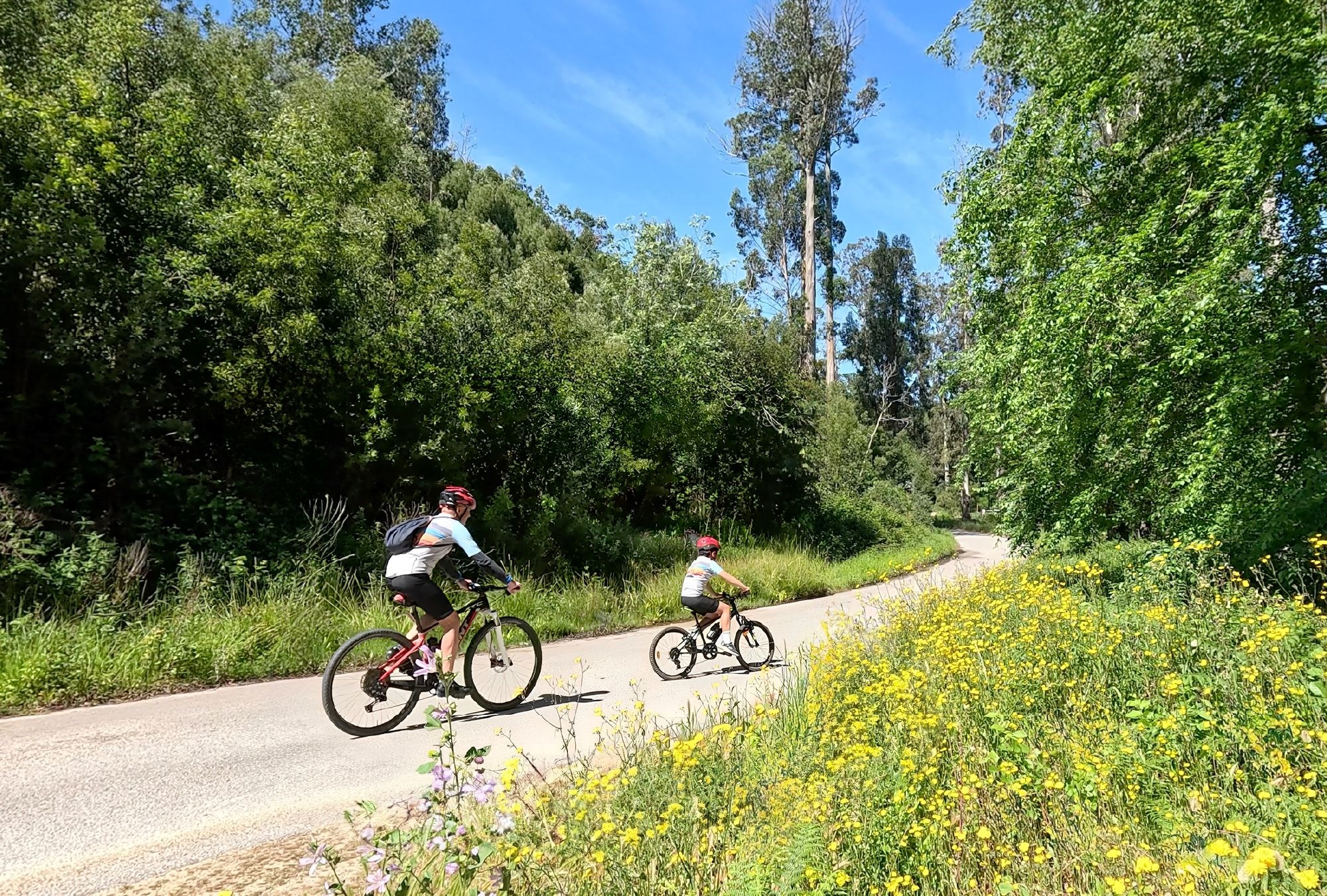 2 Bed, 2 Bath, ApartmentFor Sale, Nazaré, Leiria, 2445-431