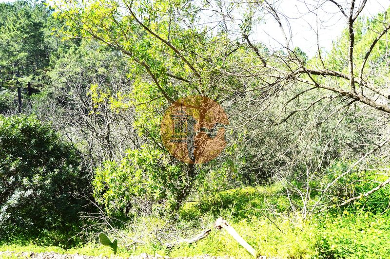 3 Bed, 1 Bath, HouseFor Sale, Tavira, Faro