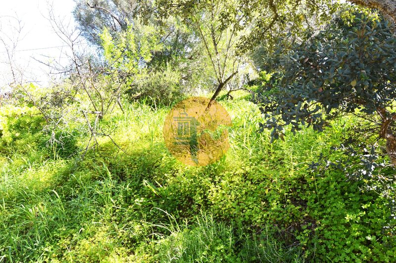 3 Bed, 1 Bath, HouseFor Sale, Tavira, Faro