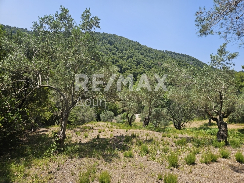 HouseFor Sale, Troullos, Skiathos, Sporades