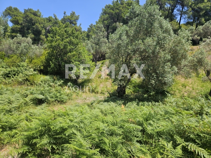 HouseFor Sale, Troullos, Skiathos, Sporades