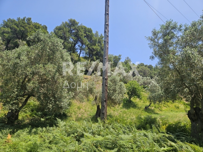 HouseFor Sale, Troullos, Skiathos, Sporades