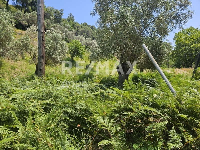 HouseFor Sale, Troullos, Skiathos, Sporades