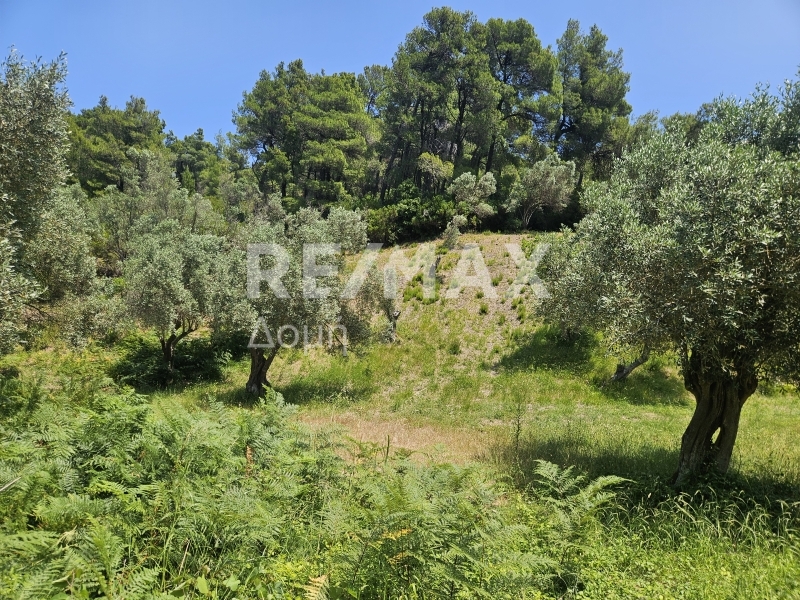 HouseFor Sale, Troullos, Skiathos, Sporades
