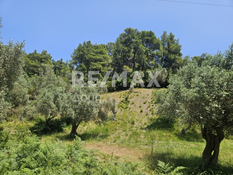 HouseFor Sale, Troullos, Skiathos, Sporades