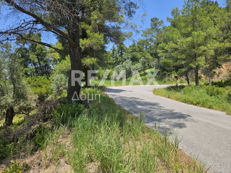 HouseFor Sale, Troullos, Skiathos, Sporades