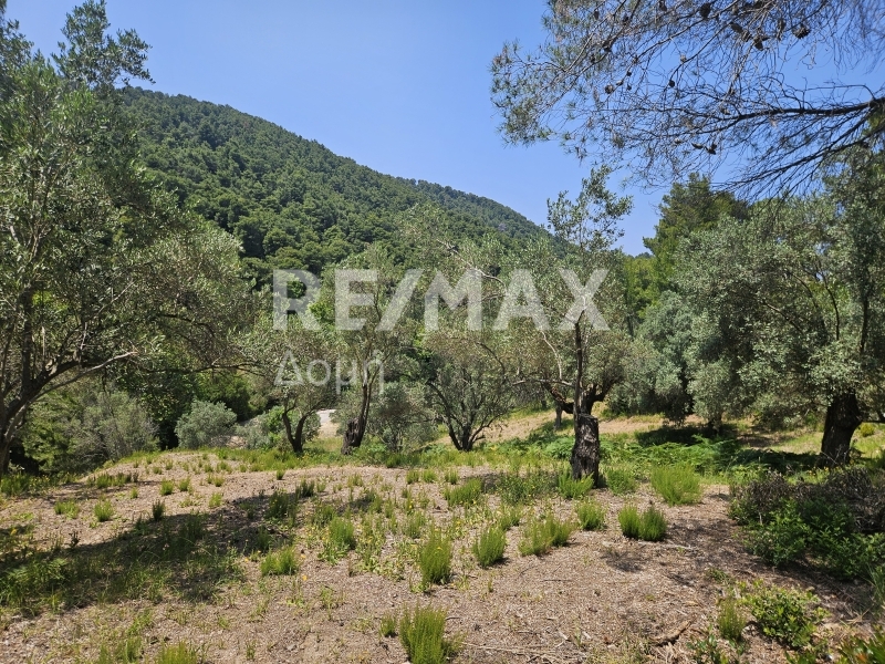 HouseFor Sale, Troullos, Skiathos, Sporades