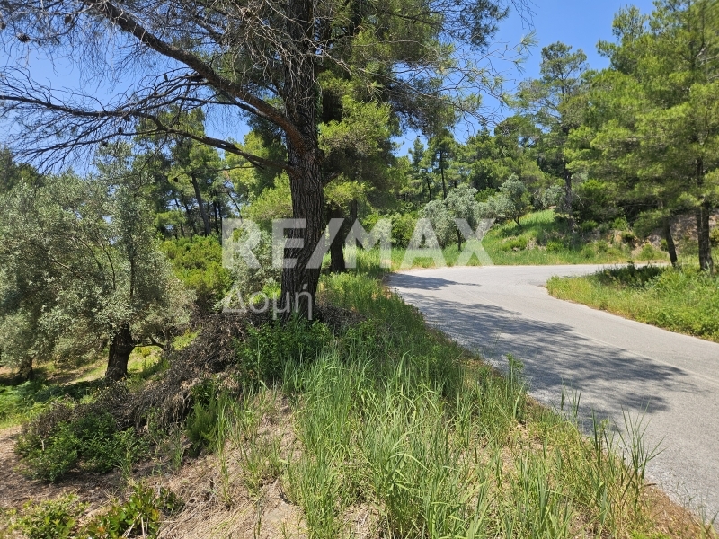 HouseFor Sale, Troullos, Skiathos, Sporades