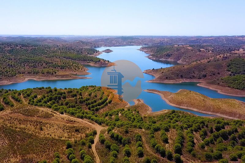 Commercial Property, For Sale