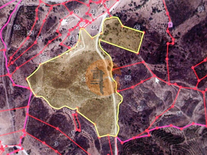 Commercial Property, For Sale