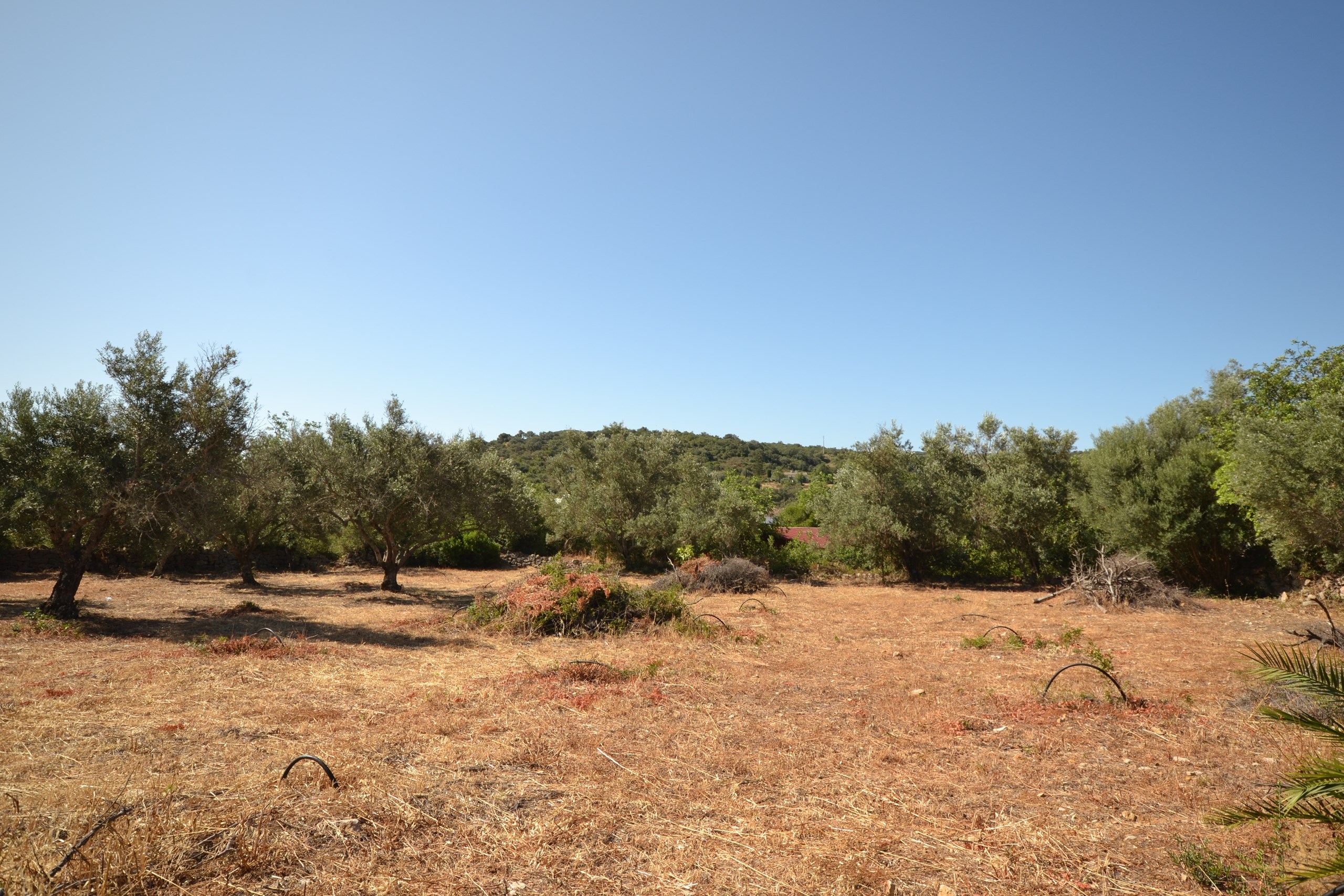 Land, For Sale