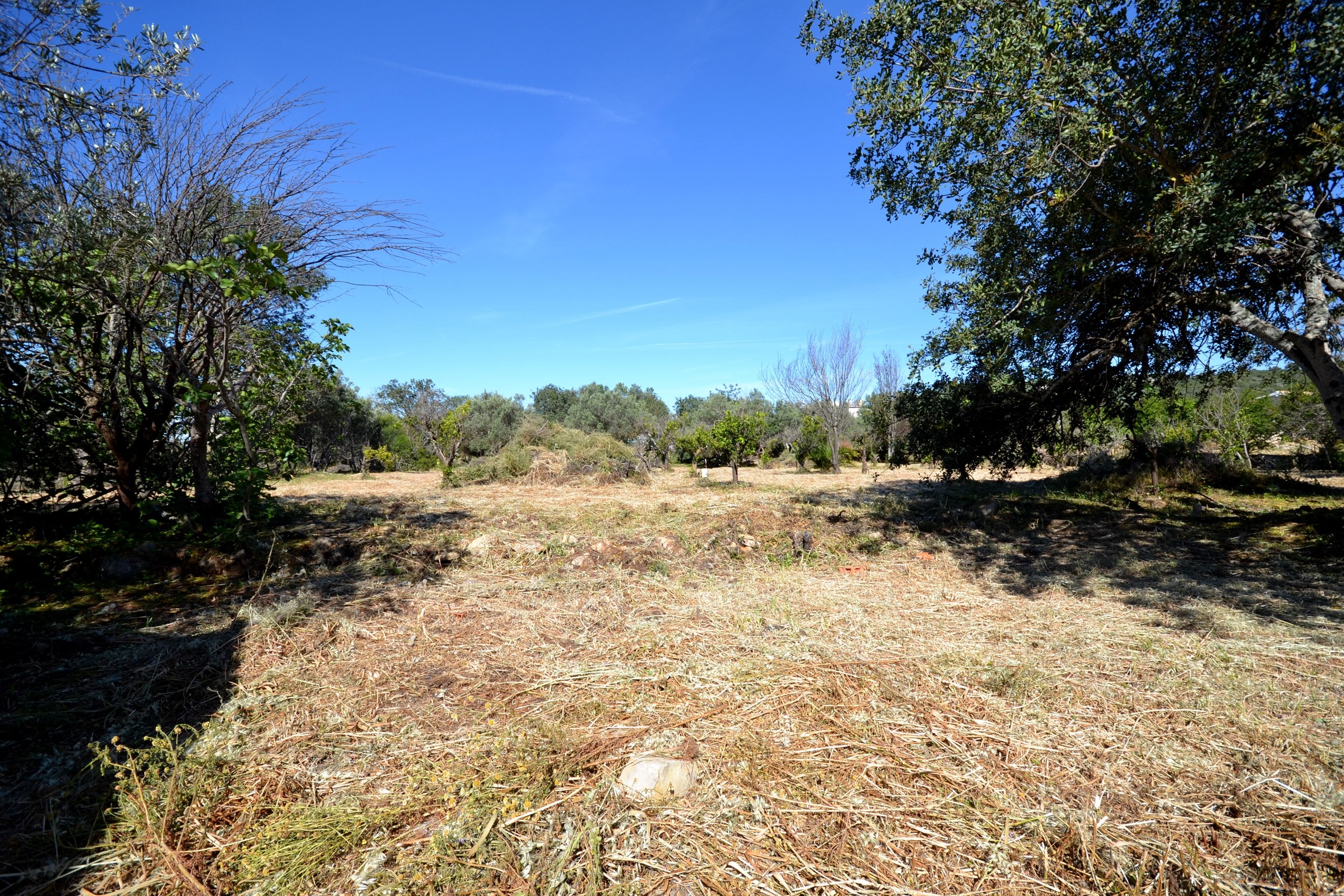 Land, For Sale