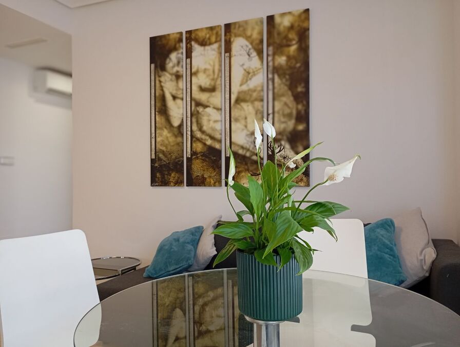 1 Bed, 1 Bath, ApartmentFor Sale, Daya Vieja, Alicante 1 Bed, 1 Bath, ApartmentFor Sale, Daya Vieja, Alicante