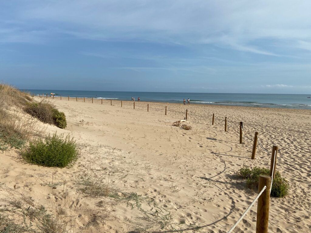 Commercial Property, For Sale Commercial Property, For Sale