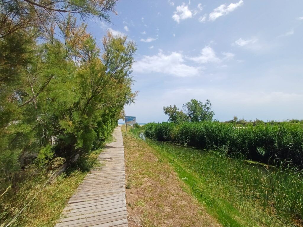 Commercial Property, For Sale Commercial Property, For Sale