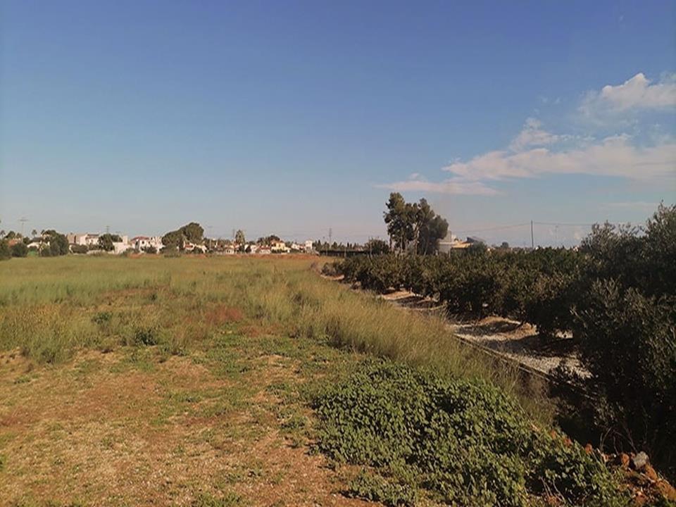 Land, For Sale Land, For Sale