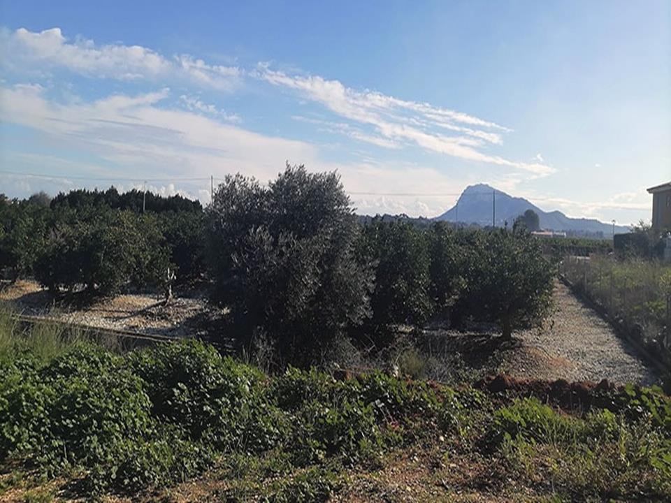 Land, For Sale Land, For Sale