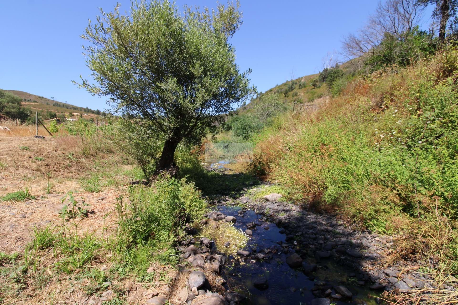 Land, For Sale