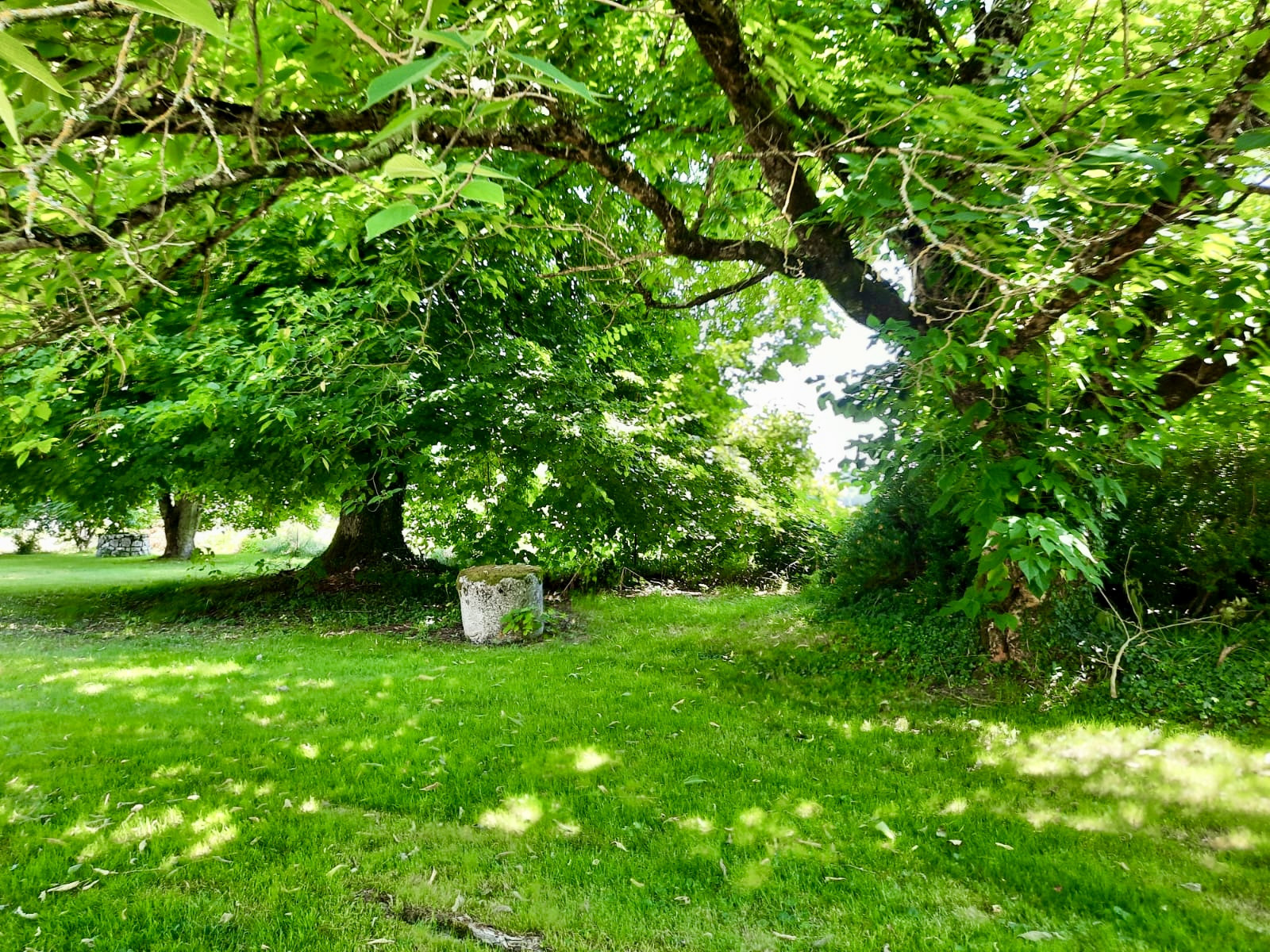 5 Bed, 1 Bath, HouseFor Sale, Eymet, Dordogne, Aquitaine, 24500