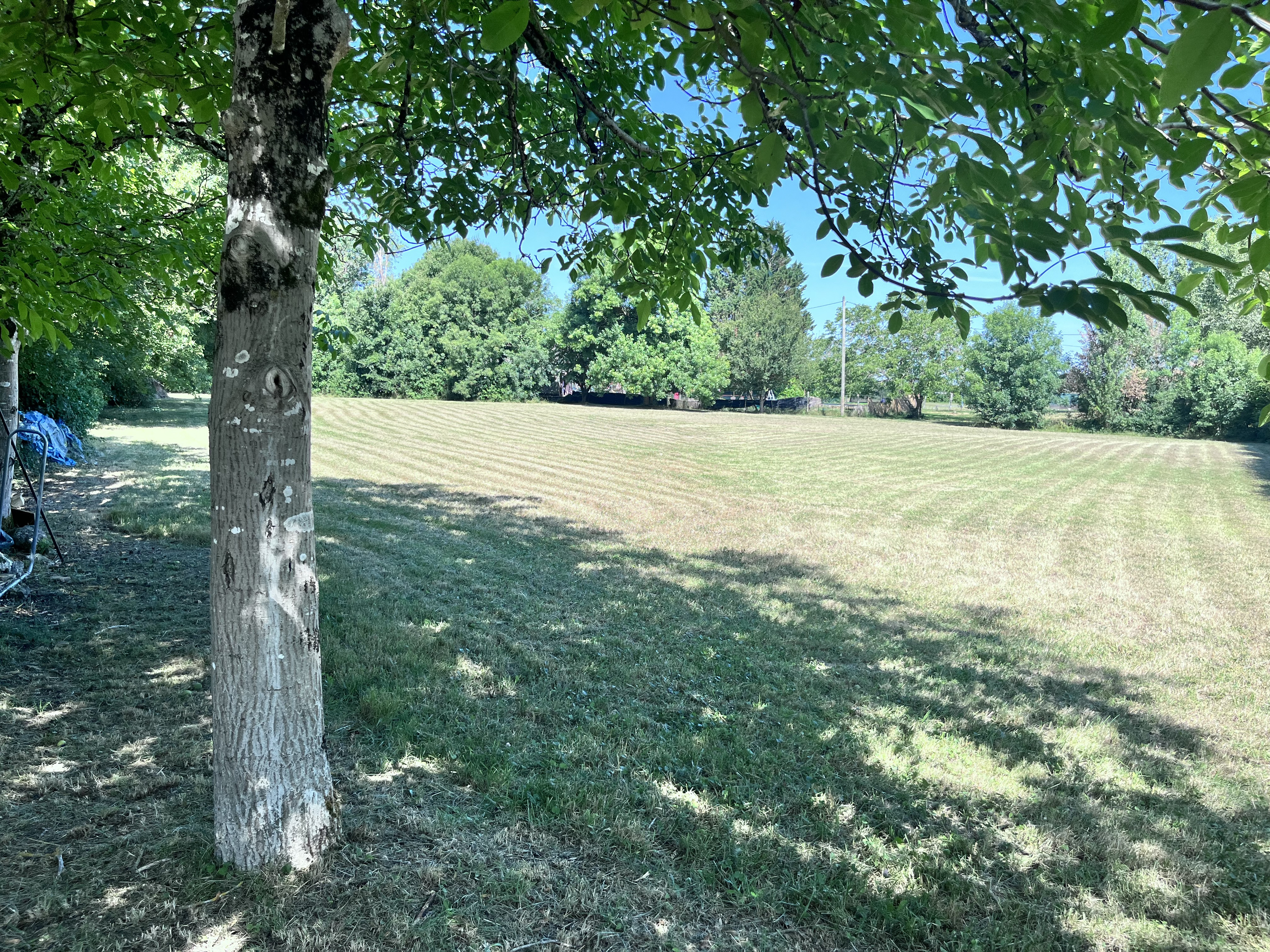 6 Bed, 1 Bath, HouseFor Sale, Plaisance, Dordogne, Aquitaine, 24560