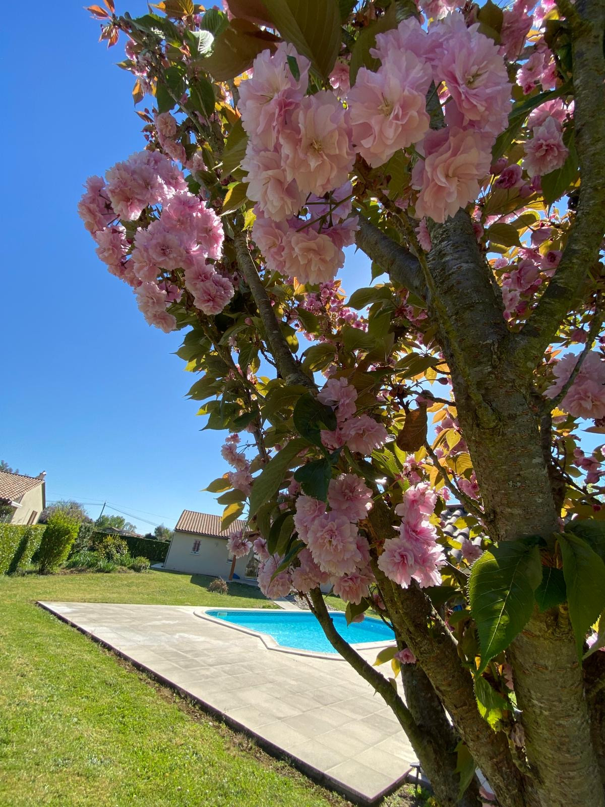 4 Bed, 1 Bath, HouseFor Sale, Allemans du dropt, Lot-et-Garonne, Aquitaine, 47800