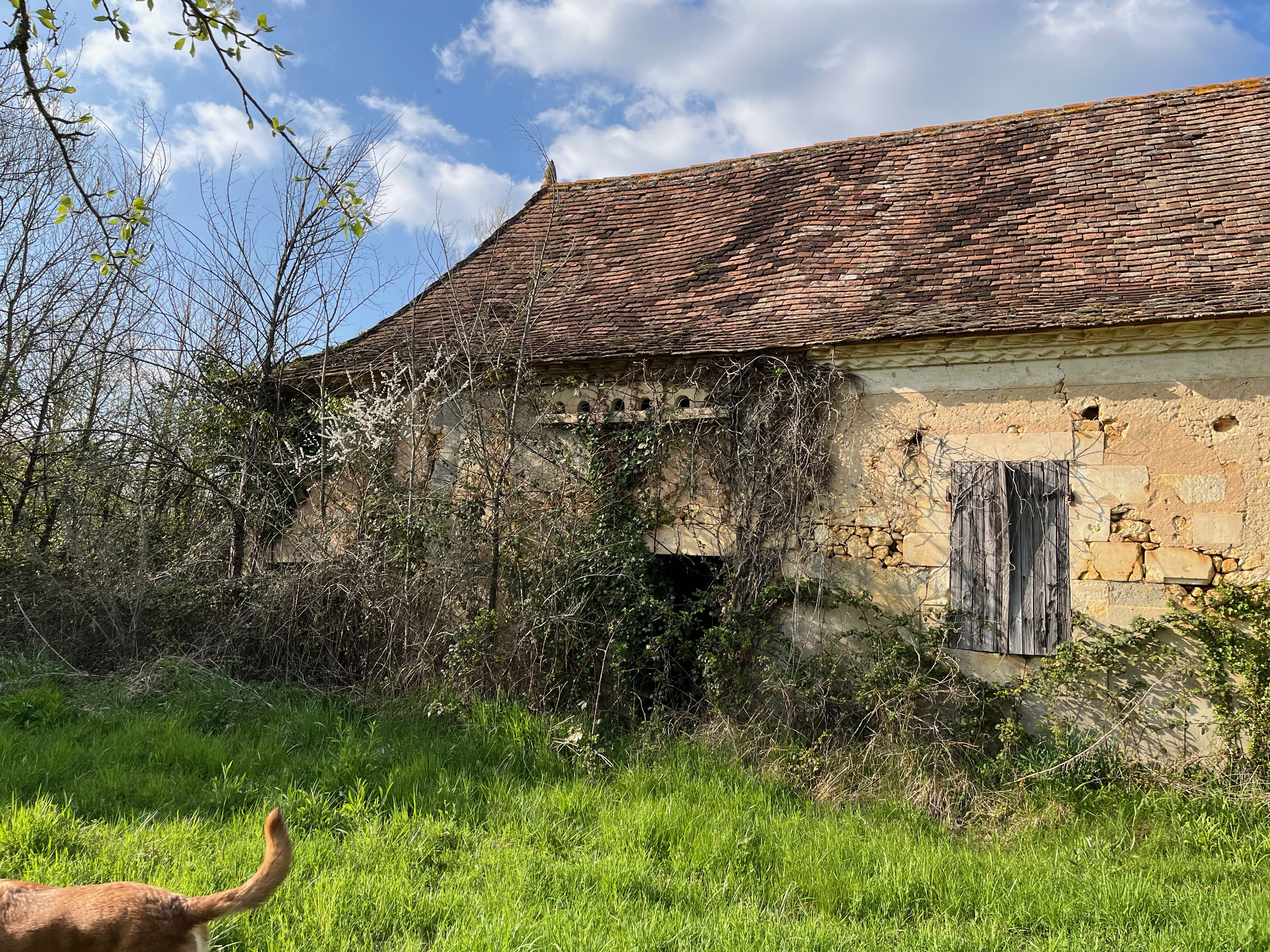 HouseFor Sale, Maurens, Dordogne, Aquitaine, 24140