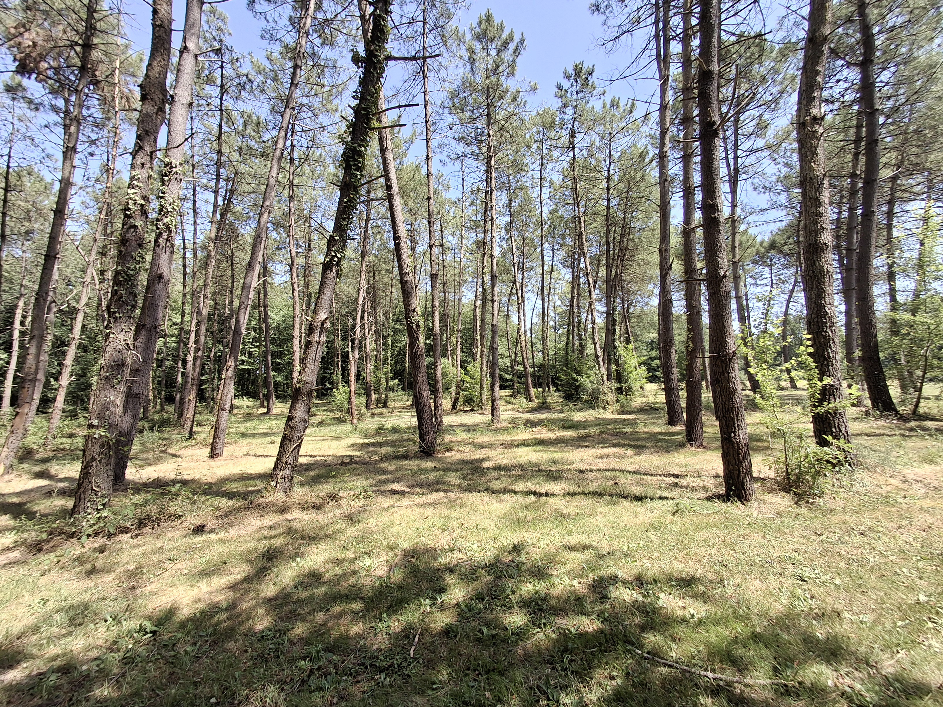 1 Bed, HouseFor Sale, Villereal, Lot-et-Garonne, Aquitaine, 47210