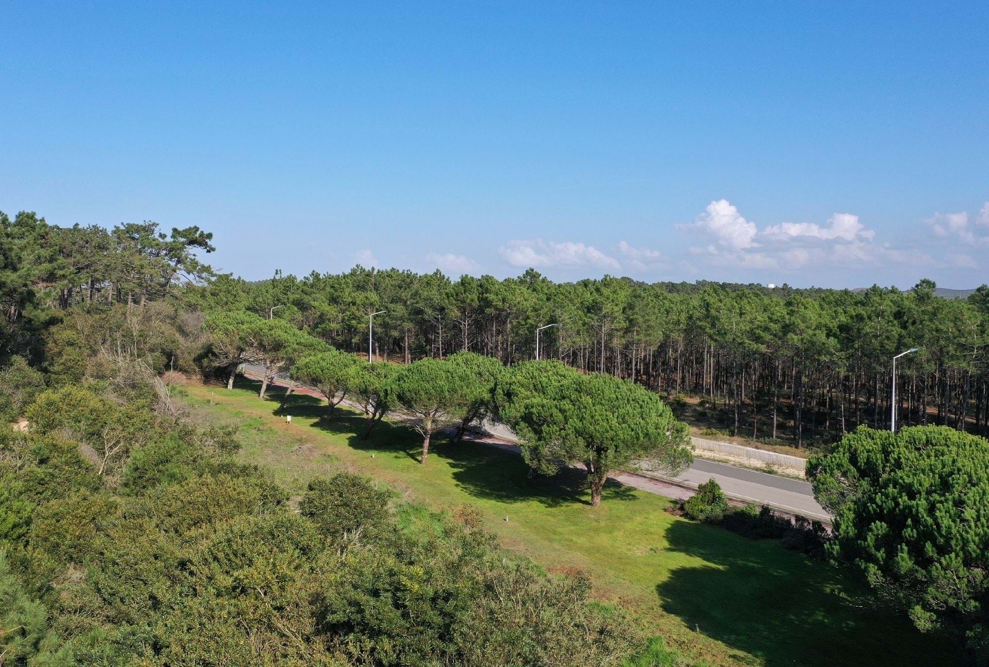 3 Bed, 2 Bath, ApartmentFor Sale, Nazaré, Leiria, 2445-431