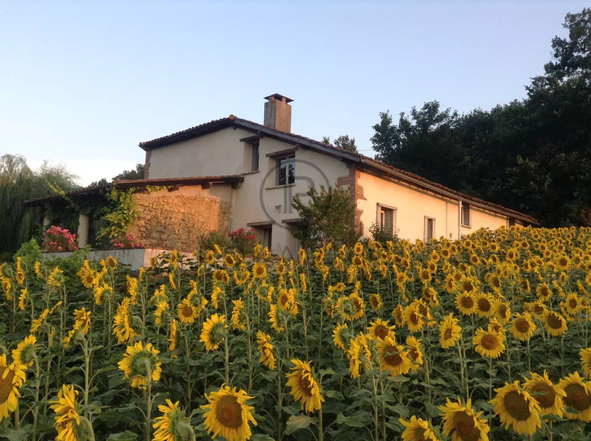 6 Bed, 4 Bath, HouseFor Sale, Ambax, Haute-Garonne