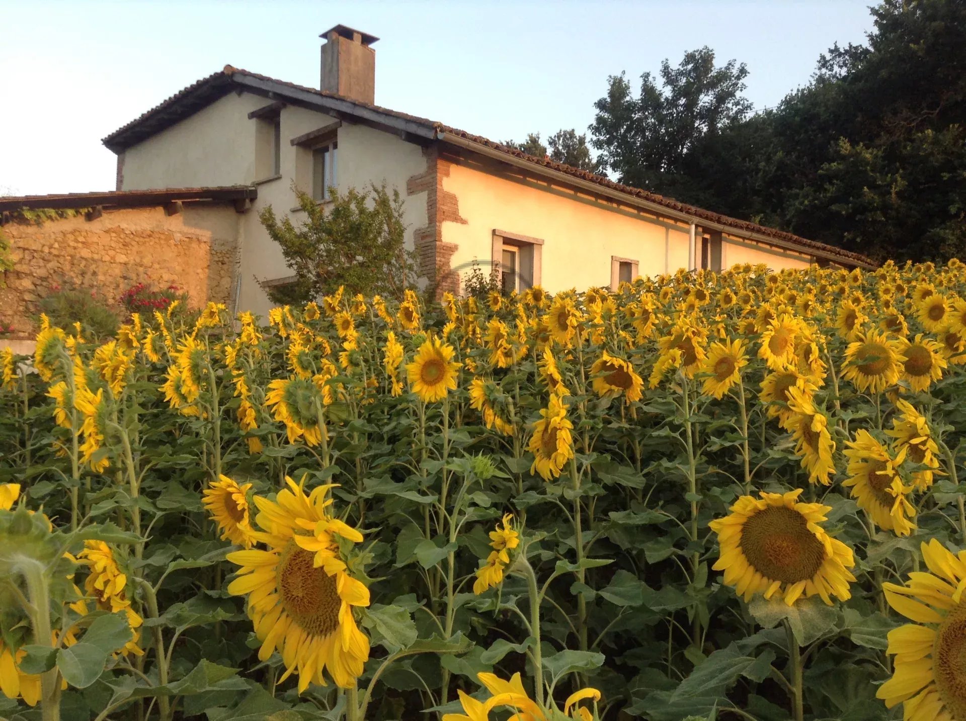 6 Bed, 4 Bath, HouseFor Sale, Ambax, Haute-Garonne