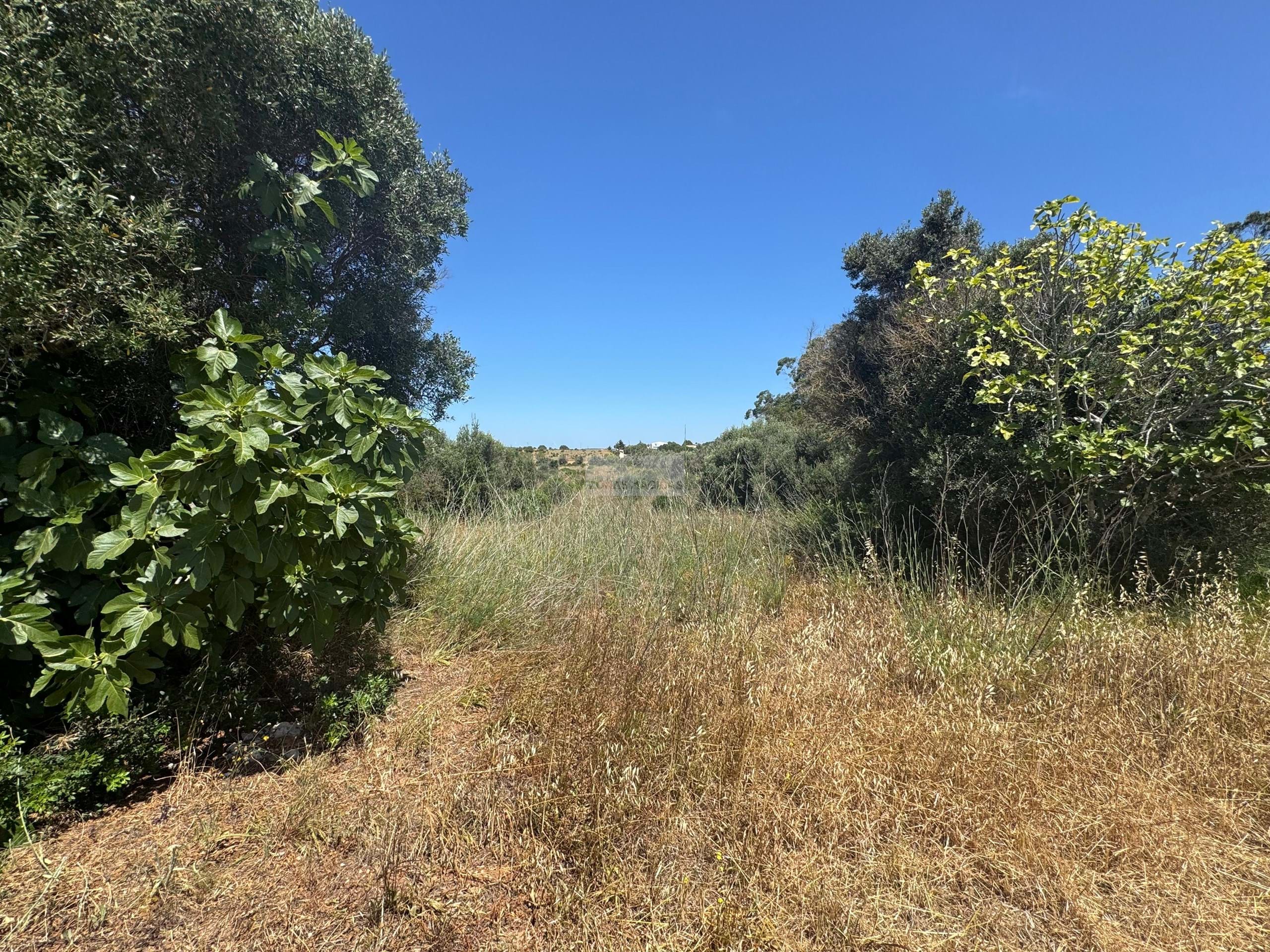 Land, For Sale