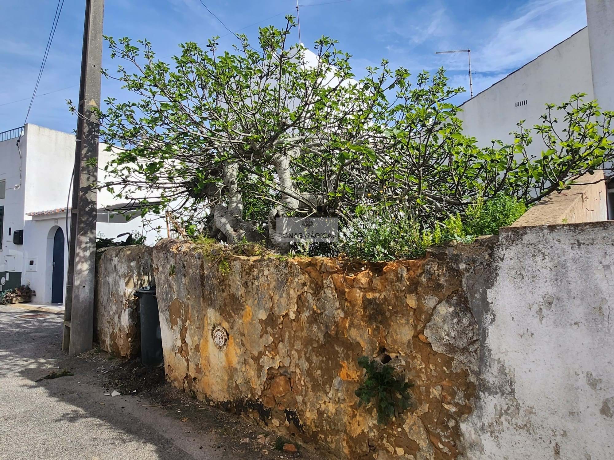 Land, For Sale