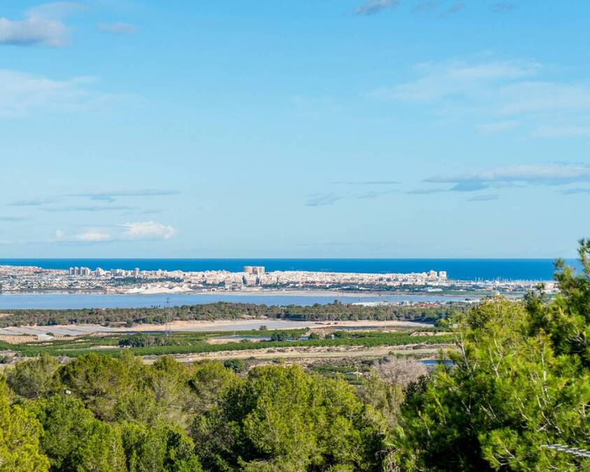 6 Bed, 5 Bath, HouseFor Sale, San Miguel de Salinas, Alicante