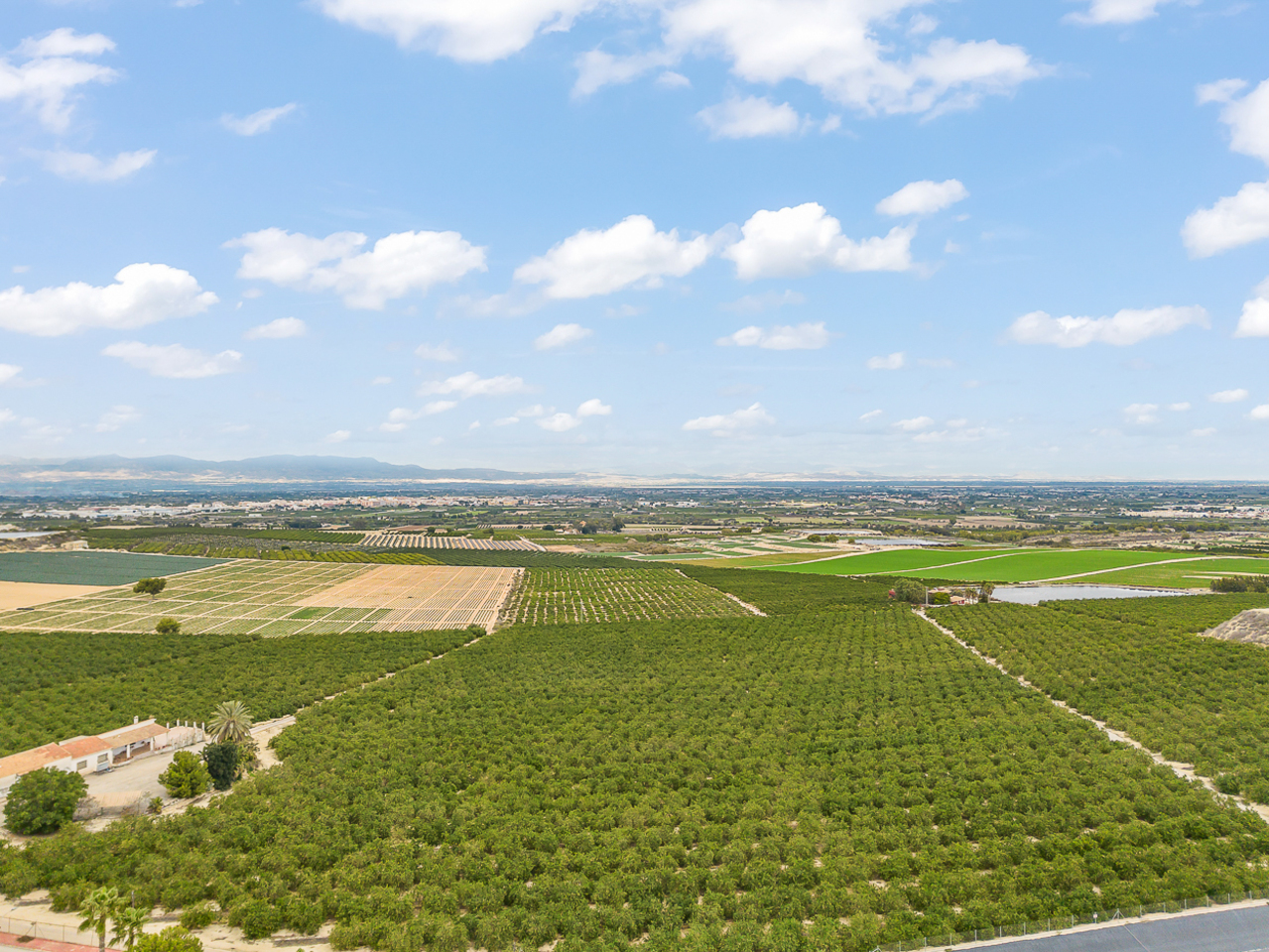 4 Bed, 4 Bath, HouseFor Sale, Algorfa, Alicante