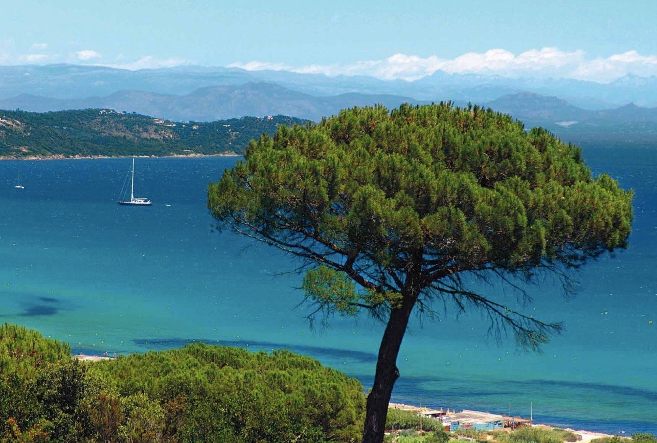 2 Bed, 1 Bath, ApartmentFor Sale, Saint-Tropez, Var