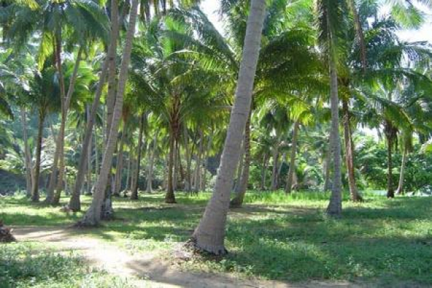 Land, For Sale Land, For Sale